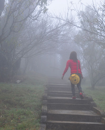 Tết Tây trong sương mù Sa Pa