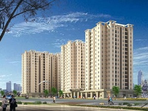 Cái giá của hội chứng đám đông