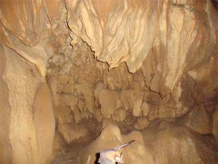 Chiêm ngưỡng Thiên Đường giữa lòng di sản