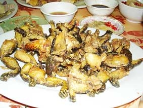 Ếch hương, gà sáu cựa - Món ăn độc đáo miền biên viễn