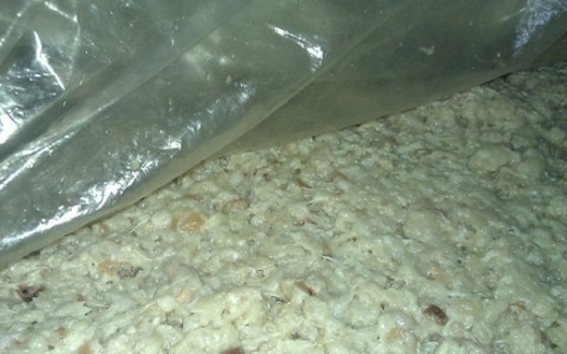 Tiết lộ sốc về 'đặc sản chết người' ở quán nhậu