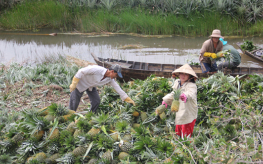 Thu hồi đất, phần thiệt về dân: 1m2 đất chỉ bằng... bát phở