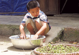 Báo hiếu ở tuổi lên năm