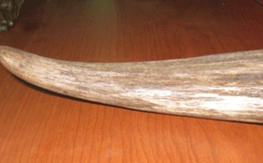 Bóc mẽ 90% sừng tê giác giả tại Việt Nam