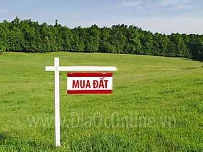 Mua đất lợi hơn vàng, USD