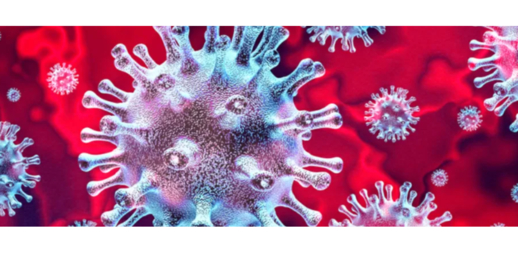 THÔNG BÁO SỐ 8 
của Ban Hỗ trợ Cộng đồng người Việt Nam tại Ba Lan phòng chống Dịch Covid -19