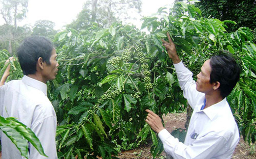 Thu hồi thủy điện, dân mừng!