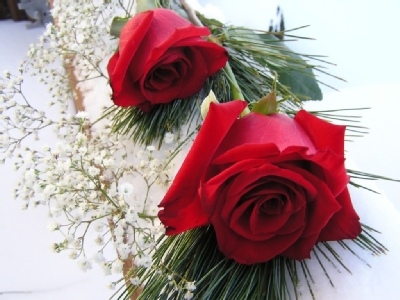 Thơ Ba Lan dịch ra Lục bát Việt