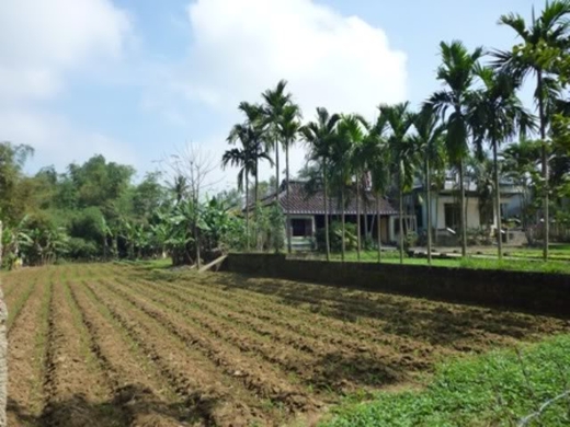 Quê hương và nỗi nhớ