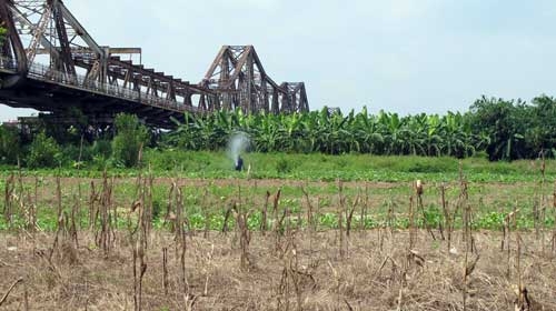 Tị nạn môi trường - Kỳ 10