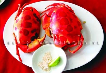 Côn Đảo - Hòn đảo bí ẩn nhất thế giới