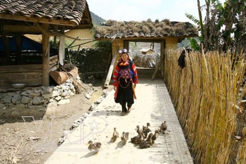 Sắc màu Lô Lô Chải