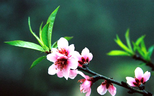 Làm gì đón Tết để có nhiều tài lộc?