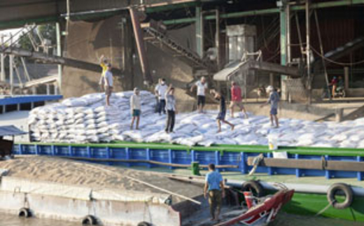 Việt Nam mua tạm trữ 1 triệu tấn gạo