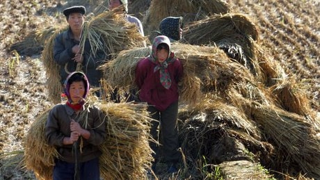 Bắc Triều Tiên: “mạng người còn rẻ hơn ruồi”