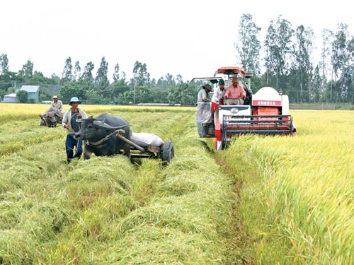 Nông nghiệp, những “bờ ruộng” chờ phá bỏ - Bài 3