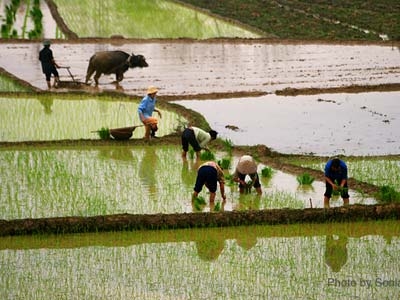 Đất của dân nên dân xót...