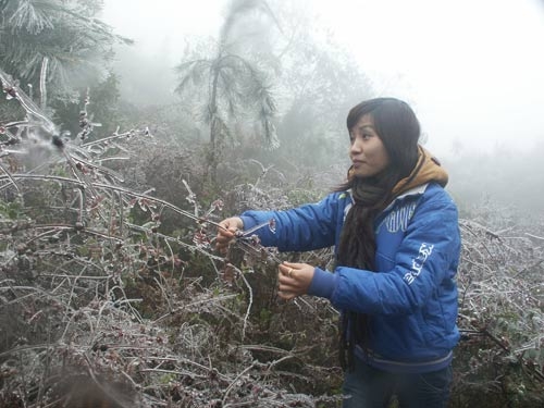 Băng giá lại xuất hiện ở vùng núi cao Lào Cai