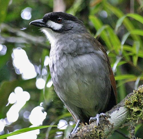 Những điều kỳ lạ