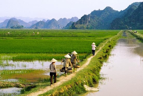 Từ ngày 1-10-2009, nông dân bị thu hồi đất: Hết thiệt thòi!