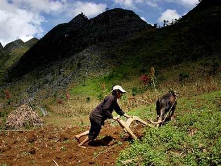 Chuyện không thể kết thúc chỉ ở chiếc... cần câu