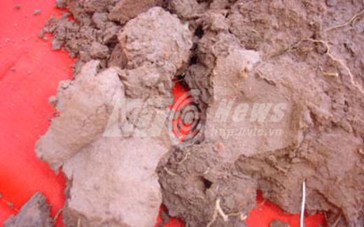 Vì sao nhà ngoại cảm chân chính tìm mộ vẫn sai?