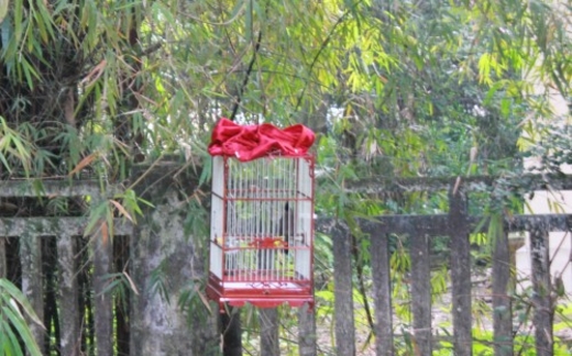 Đại tướng trút hơi thở cuối cùng một cách nhẹ nhàng