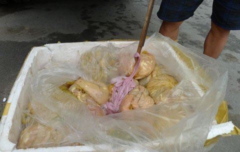 Gà lậu, lòng lợn thối ùn ùn 'đổ' về Thủ đô