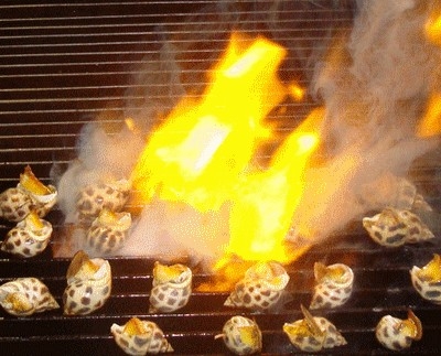 Ốc hương - món ăn 'quý tộc' của đại dương