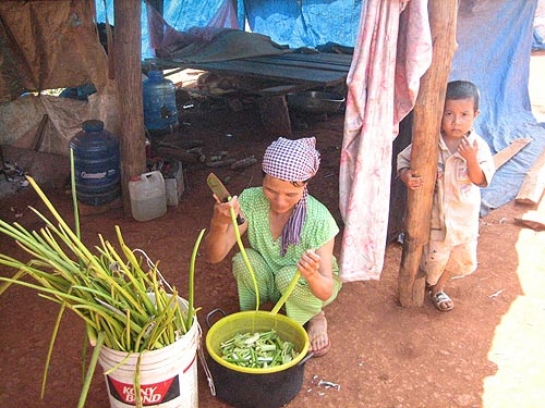 Phù phép đất rừng