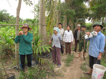 Cánh đồng vàng đã mất: “Treo” ruộng 8 năm