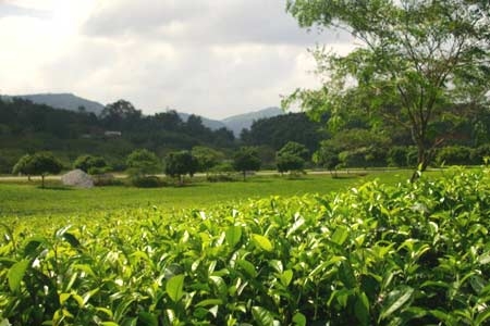 Tuyên Quang huyền thoại