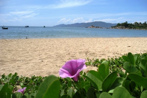 Đến Cà Ná - nghe tiếng gọi của biển