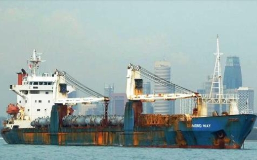 Vinashinlines đã bán gần hết tàu