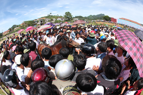 Cuối tuần đi chợ ngựa Bắc Hà