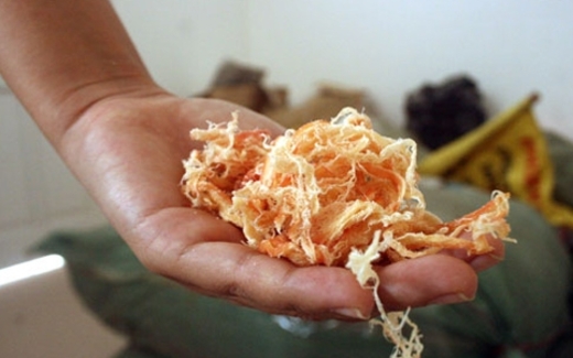 Hoang mang… mực khô