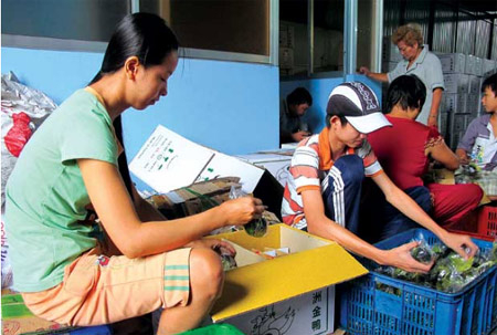 Để ngăn thương lái TQ tự do gom hàng ở VN