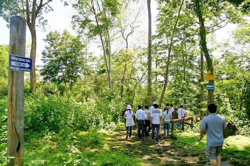 Thác nước kỳ diệu giữa núi rừng Đắk Nông