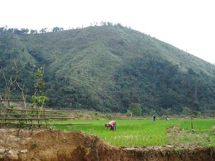 Aza - Tết cơm mới của đồng bào Pacô ở Thừa Thiên Huế