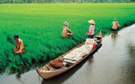 Nỗi đau tụt hậu: Ai gieo, ai gánh?