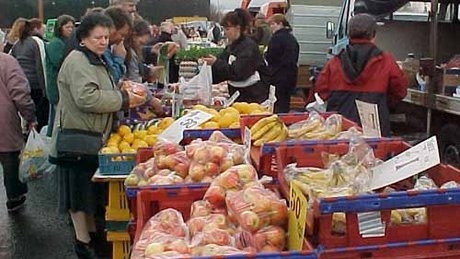 Du học sinh kinh doanh tại Australia