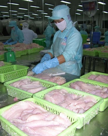 VASEP không thể đại diện cho người nuôi cá tra