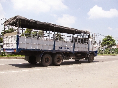 Từ bài học Trạm cân Dầu Giây