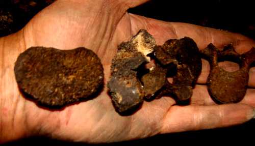 Động xương người: Những câu hỏi chưa có lời giải đáp