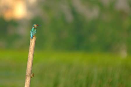 Thiên nhiên Vân Long