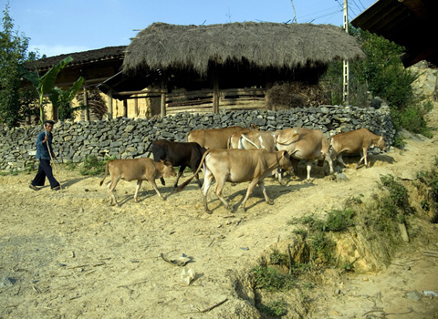 Cuộc sống nơi địa đầu Tổ quốc