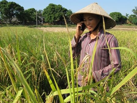 Điện thoại, máy tính xách tay là đồ xa xỉ?