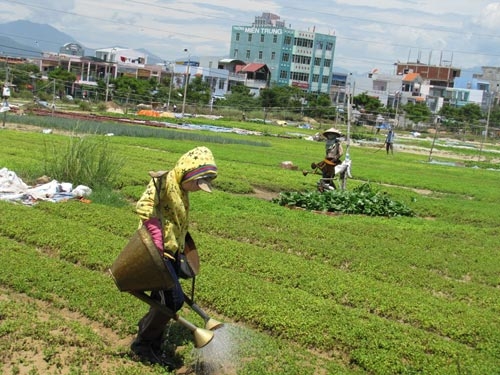 Nỗi lo hậu giải tỏa ở Đà Nẵng