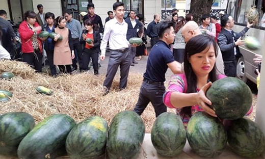 Bộ Công thương đi... bán dưa: Rằng hay thì thật là hay...