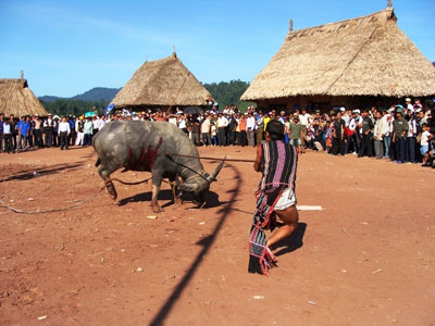 Cười hay mếu: Lễ thiêng thành trò tiêu khiển